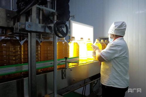 高質(zhì)量發(fā)展 新 速度丨新疆高質(zhì)量推動(dòng)糧油產(chǎn)業(yè)集群建設(shè)